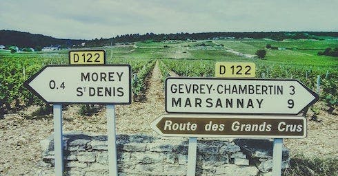Picture of From Chablis to Chalonnaise